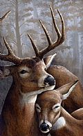 STAMPS AND AWARDS - Nature Art by Claude Thivierge